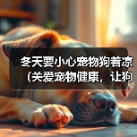 冬天要小心宠物狗着凉（关爱宠物健康，让狗狗过一个温暖的冬天）（图3）