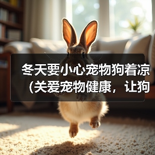 冬天要小心宠物狗着凉（关爱宠物健康，让狗狗过一个温暖的冬天）（图1）