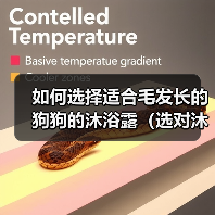 如何选择适合毛发长的狗狗的沐浴露（选对沐浴露，让狗狗的毛发更加健康）（图1）