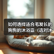 如何选择适合毛发长的狗狗的沐浴露（选对沐浴露，让狗狗的毛发更加健康）（图3）