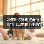 如何训练狗狗拒食他人食物（以宠物为主的实用技巧）（图2）