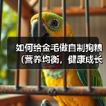 如何给金毛做自制狗粮（营养均衡，健康成长）（图2）
