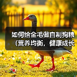 如何给金毛做自制狗粮（营养均衡，健康成长）（图3）