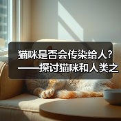 猫咪是否会传染给人？——探讨猫咪和人类之间的健康关系（图1）