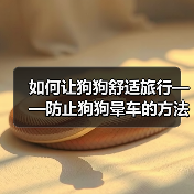 如何让狗狗舒适旅行——防止狗狗晕车的方法（宠物出行指南，让狗狗快乐旅行）（图3）