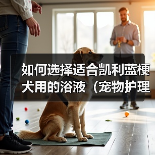 如何选择适合凯利蓝梗犬用的浴液（宠物护理必备，为你的凯利蓝梗犬提供最好的沐浴体验）（图2）