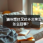 猫咪想吐又吐不出来是怎么回事？（图4）