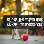 阿拉斯加犬产后宜吃哪些水果（宠物健康保障）（图4）