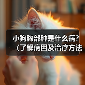 小狗胸部肿是什么病?(了解病因及治疗方法)(图1) 小狗胸部肿是什么病?(了解病因及治疗方法)(图1)