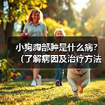 小狗胸部肿是什么病?(了解病因及治疗方法)(图4) 小狗胸部肿是什么病?(了解病因及治疗方法)(图4)