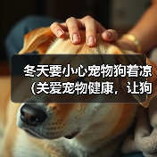 冬天要小心宠物狗着凉（关爱宠物健康，让狗狗过一个温暖的冬天）（图4）