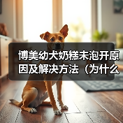 博美幼犬奶糕未泡开原因及解决方法（为什么博美幼犬奶糕没泡开？如何避免和解决？）（图1）
