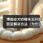 博美幼犬奶糕未泡开原因及解决方法（为什么博美幼犬奶糕没泡开？如何避免和解决？）（图2）