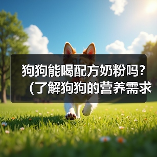 狗狗能喝配方奶粉吗？（了解狗狗的营养需求和喂养方法）（图4）