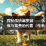 探秘传统暹罗猫——优雅与高贵的代表(传承千年的优良品种,这些细节你一定要知道)(图2) 探秘传统暹罗猫——优雅与高贵的代表(传承千年的优良品种,这些细节你一定要知道)(图2)