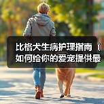比格犬生病护理指南（如何给你的爱宠提供最好的照顾和护理？）（图1）