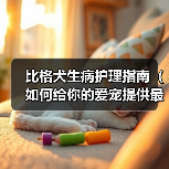 比格犬生病护理指南（如何给你的爱宠提供最好的照顾和护理？）（图4）