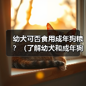 幼犬可否食用成年狗粮？（了解幼犬和成年狗粮的区别及选择）（图3）