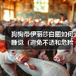 狗狗带伊丽莎白圈如何睡觉（避免不适和危险，健康照顾）（图1）