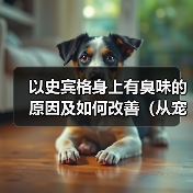 以史宾格身上有臭味的原因及如何改善（从宠物护理、饮食、健康等方面解析臭味来源和处理方法）（图3）