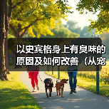 以史宾格身上有臭味的原因及如何改善（从宠物护理、饮食、健康等方面解析臭味来源和处理方法）（图4）