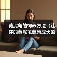 黄泥龟的饲养方法（让你的黄泥龟健康成长的秘诀）（图4）