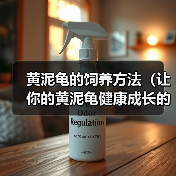 黄泥龟的饲养方法（让你的黄泥龟健康成长的秘诀）（图2）
