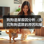 狗狗遗尿原因分析（探究狗狗遗尿的原因和解决方法）（图4）