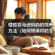 橙翅亚马逊鹦鹉的饲养方法(如何照顾你的亚马逊鹦鹉)(图1) 橙翅亚马逊鹦鹉的饲养方法(如何照顾你的亚马逊鹦鹉)(图1)