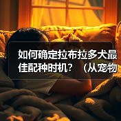 如何确定拉布拉多犬最佳配种时机？（从宠物健康、繁殖周期、遗传基因等方面入手，把握最佳配种时机）（图4）
