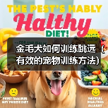 金毛犬如何训练跳远（有效的宠物训练方法）（图2）