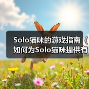Solo猫咪的游戏指南(如何为Solo猫咪提供有趣的游戏体验)(图4) Solo猫咪的游戏指南(如何为Solo猫咪提供有趣的游戏体验)(图4)
