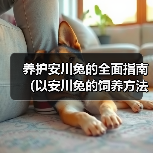 养护安川兔的全面指南（以安川兔的饲养方法为主题，让您成为宠物养护达人）（图3）