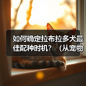 如何确定拉布拉多犬最佳配种时机？（从宠物健康、繁殖周期、遗传基因等方面入手，把握最佳配种时机）（图3）