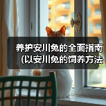 养护安川兔的全面指南（以安川兔的饲养方法为主题，让您成为宠物养护达人）（图2）