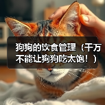狗狗的饮食管理（千万不能让狗狗吃太饱！）（图2）