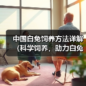 中国白兔饲养方法详解（科学饲养，助力白兔健康成长）（图1）