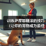训练萨摩耶翻滚的技巧(让你的宠物成为最佳表演者)(图1) 训练萨摩耶翻滚的技巧(让你的宠物成为最佳表演者)(图1)