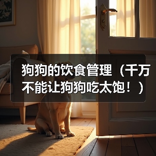 狗狗的饮食管理（千万不能让狗狗吃太饱！）（图3）