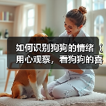 如何识别狗狗的情绪（用心观察，看狗狗的喜怒哀乐）（图1）