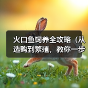 火口鱼饲养全攻略（从选购到繁殖，教你一步步做好饲养）（图2）