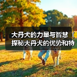 大丹犬的力量与智慧（探秘大丹犬的优势和特点）（图1）