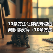10条方法让你的宠物远离眼部疾病（10条方法让你的宠物远离眼部疾病）（图1）
