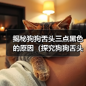 揭秘狗狗舌头三点黑色的原因(探究狗狗舌头黑点的成因与对健康的影响)(图3) 揭秘狗狗舌头三点黑色的原因(探究狗狗舌头黑点的成因与对健康的影响)(图3)