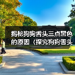 揭秘狗狗舌头三点黑色的原因(探究狗狗舌头黑点的成因与对健康的影响)(图4) 揭秘狗狗舌头三点黑色的原因(探究狗狗舌头黑点的成因与对健康的影响)(图4)