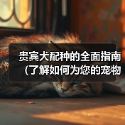 贵宾犬配种的全面指南（了解如何为您的宠物贵宾犬选择合适的伴侣）（图1）
