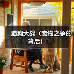 猫狗大战（宠物之争的背后）（图1）
