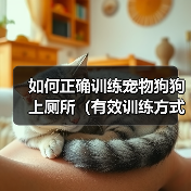 如何正确训练宠物狗狗上厕所(有效训练方式、注意事项和应对突发情况)(图3) 如何正确训练宠物狗狗上厕所(有效训练方式、注意事项和应对突发情况)(图3)
