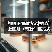 如何正确训练宠物狗狗上厕所(有效训练方式、注意事项和应对突发情况)(图4) 如何正确训练宠物狗狗上厕所(有效训练方式、注意事项和应对突发情况)(图4)