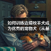 如何训练边境牧羊犬成为优秀的宠物犬（从基础训练到高级训练，打造最可靠的伴侣）（图3）